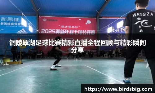铜陵翠湖足球比赛精彩直播全程回顾与精彩瞬间分享